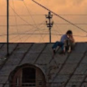 Meet your Posher, Lucy